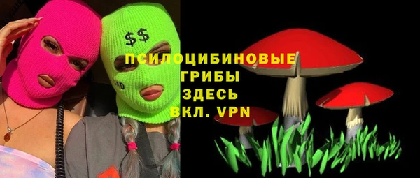 стафф Магадан