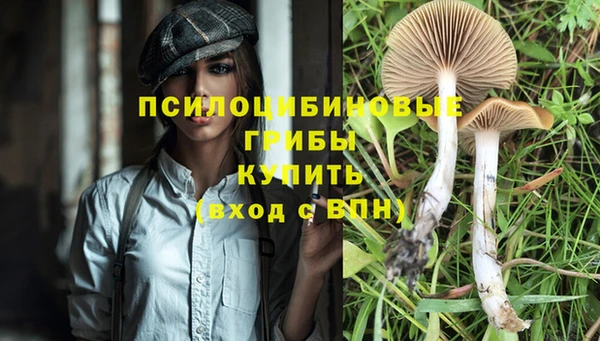 прущая мука Лиски