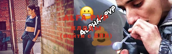 стафф Магадан