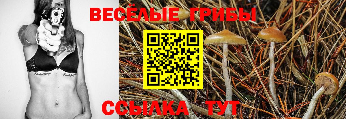 Мыски  Псилоцибиновые грибы ЛСД  Вход с VPN 
