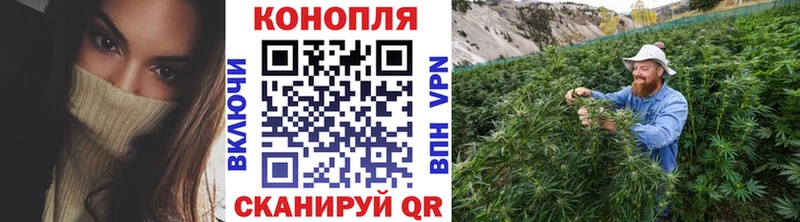 купить наркотики сайты  это наркотические препараты  Конопля MAZAR  Мыски 