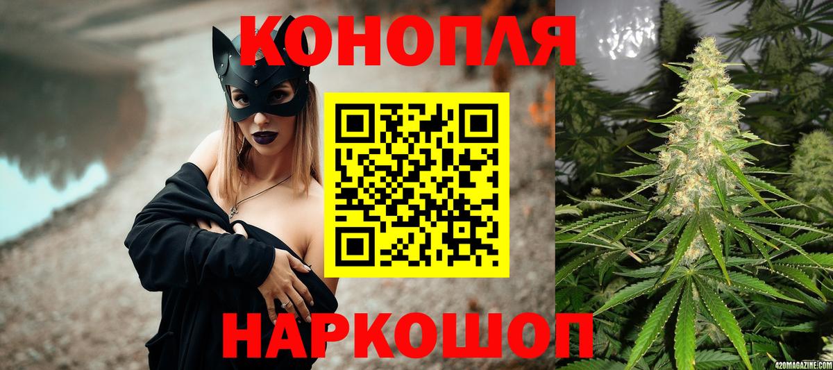 Каннабис план Мыски
